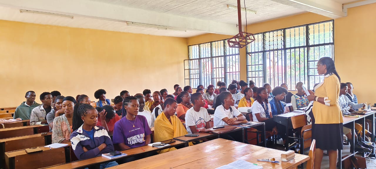 Professional mentoring